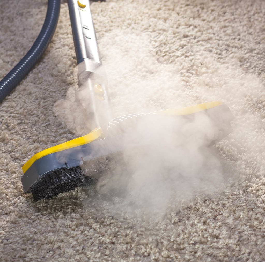 Carpet cleaning services