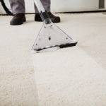 carpetcleaningservices