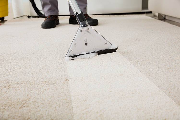 carpetcleaningservices