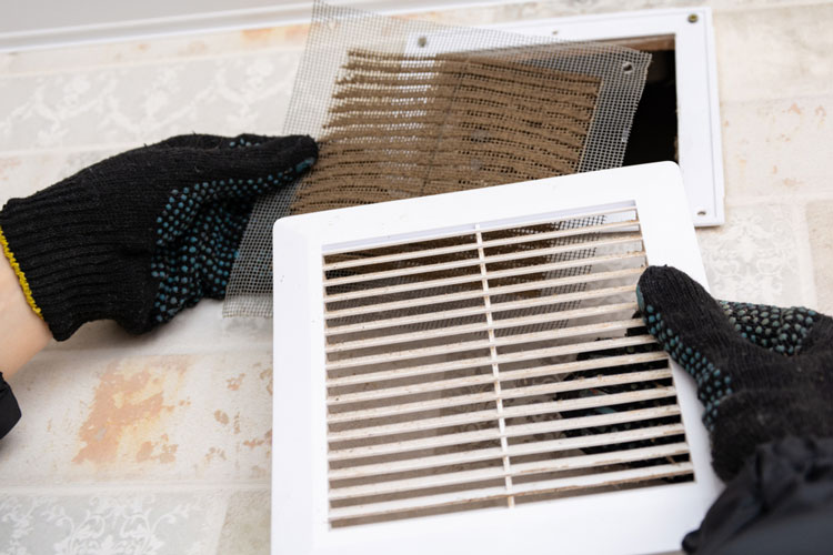 Importance of Duct Cleaning